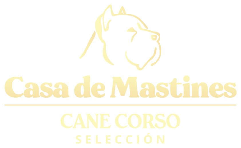 Casa de Mastines